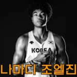 나마디-조엘진
