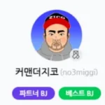 커맨더지코-프로필